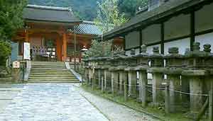 Lantern line path to Kasuga-taisha Shrine