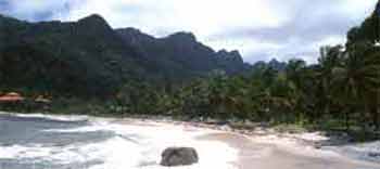 Beach at Pantai Kok