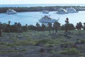 Boats at Islas Plaza