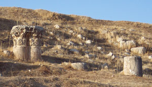 Buried pillars at Jerash